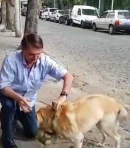 Bolsonaro anuncia criação da Secretaria dos Animais