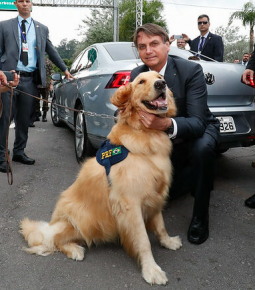 Bolsonaro cria departamento de política pública para pets