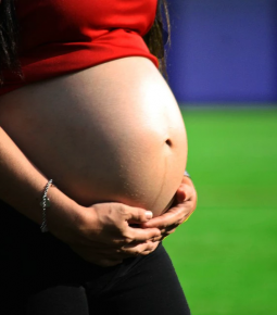 Anvisa recomenda suspensão da vacina de Oxford em grávidas