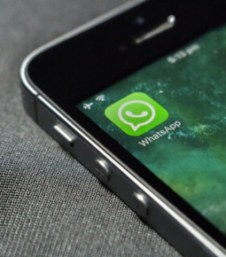 WhatsApp: Novas regras do app passam a valer neste sábado
